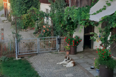 Bild-8